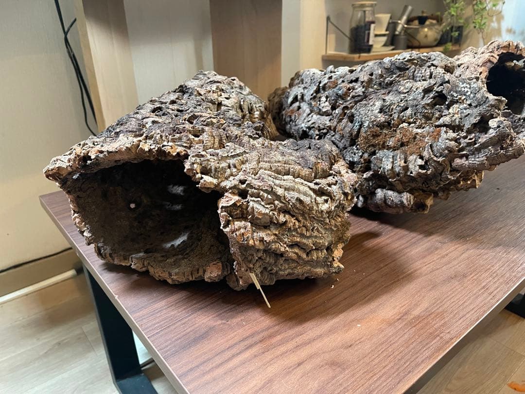 巨大コルク3点セット