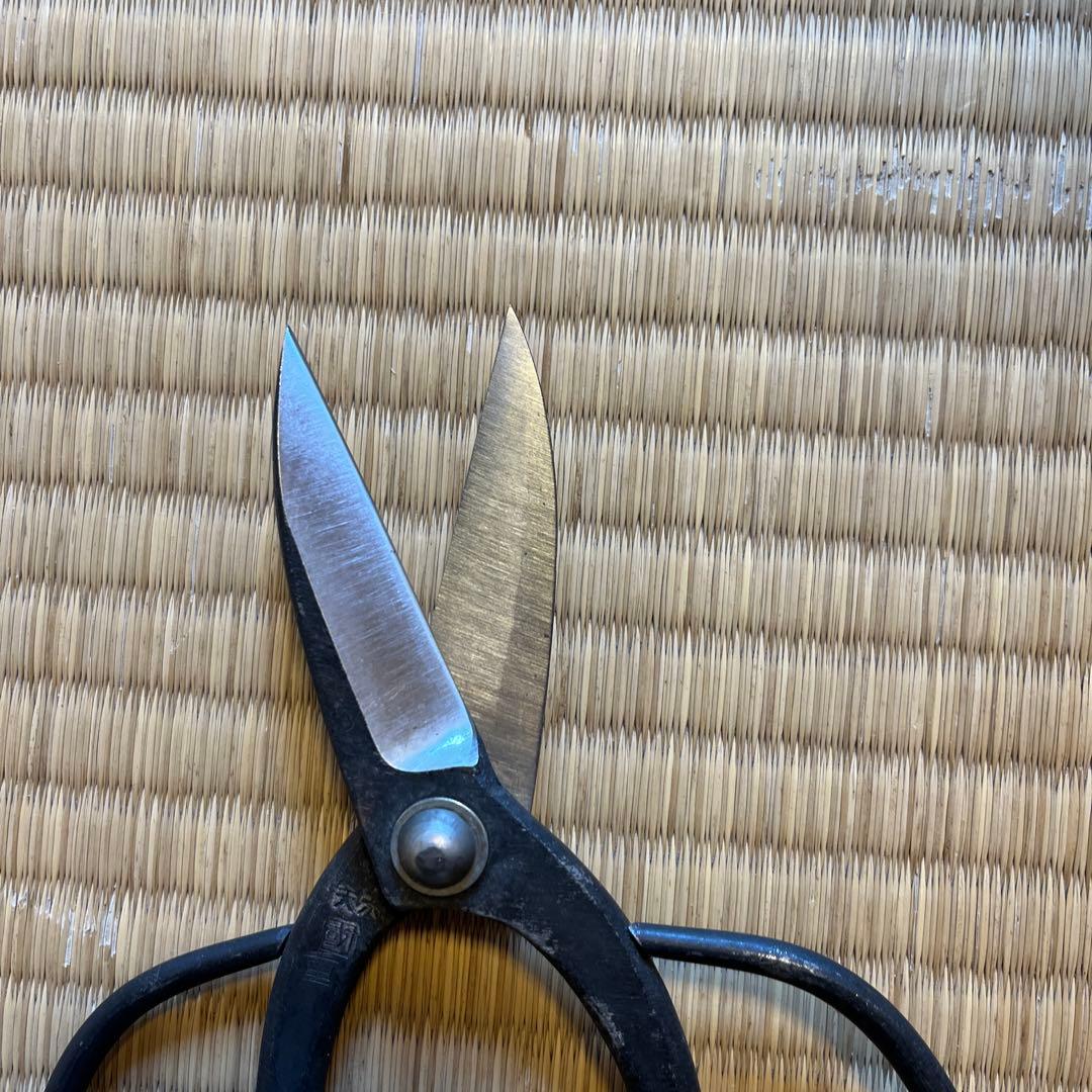 国重　植木鋏　切箸　キリバシ