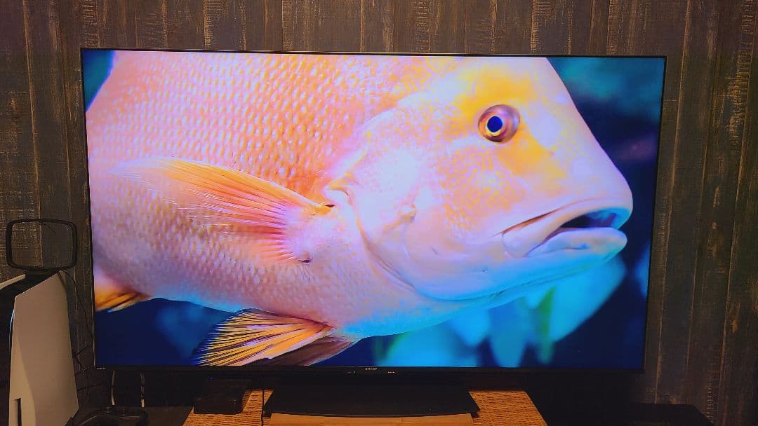 SHARP AQUOS XLED 4T-C65DP1 4K 65型 液晶テレビ