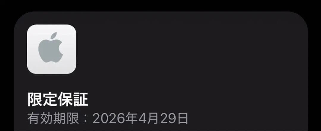 【純正品】AirPods Pro 2 Type-C iFace ケース付き