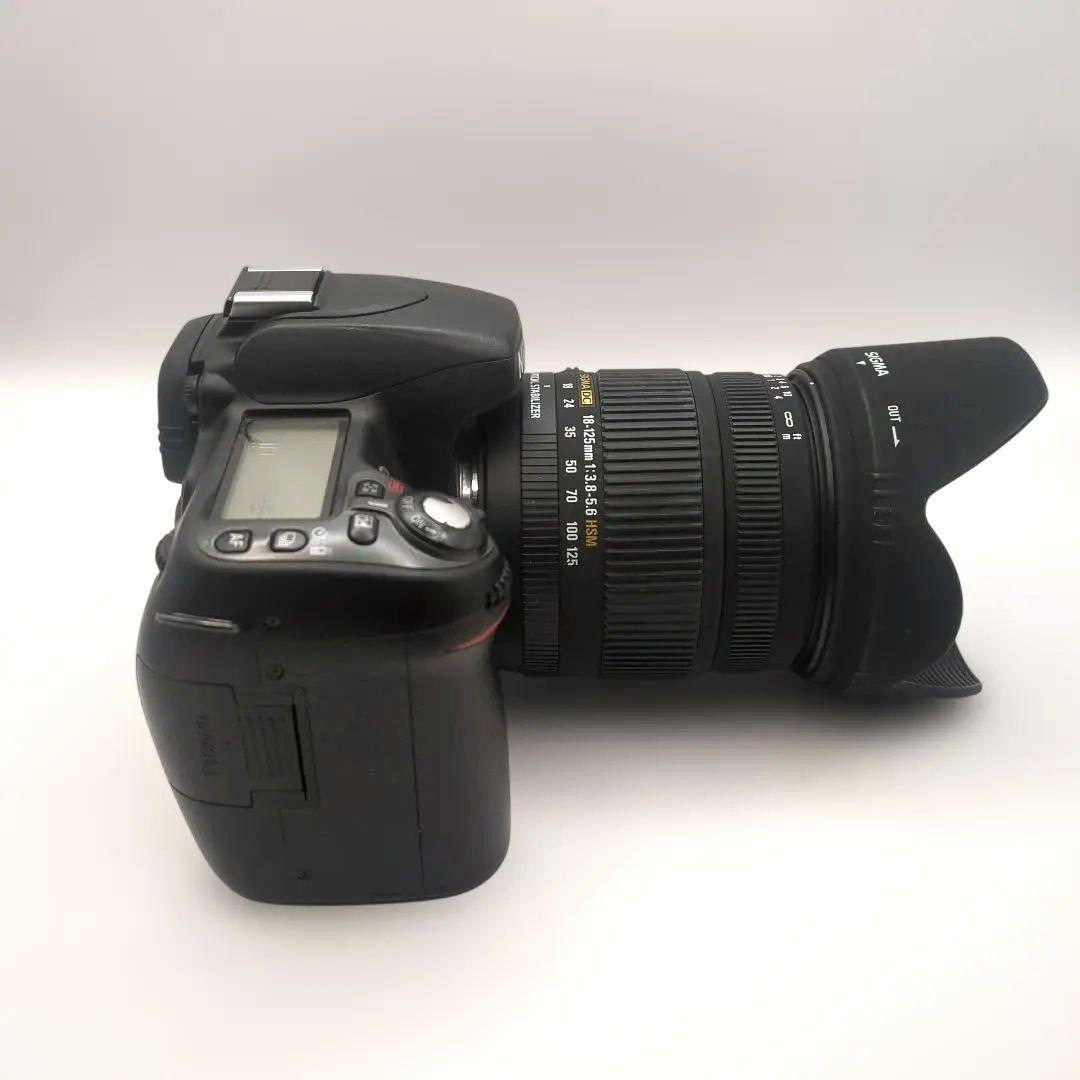 Nikon D80 シグマ18-125mmレンズ付き 動作確認済 CCDセンサー