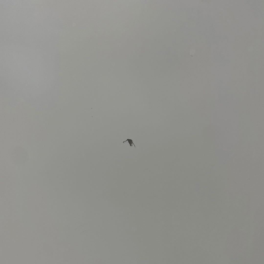 アイリスオーヤマ 冷凍庫 ICSD-14A-W 2024年製 家電 Ap2036