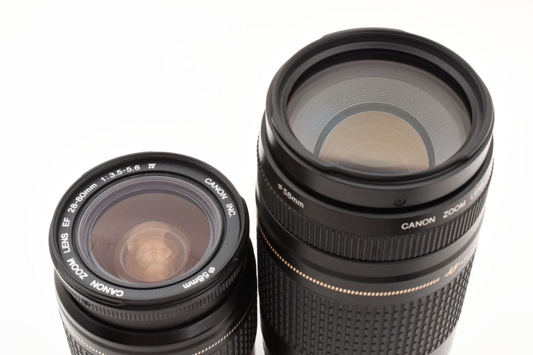 デジタル一眼レフカメラCanon EOS 7D MarkⅡ標準&望遠レンズセット