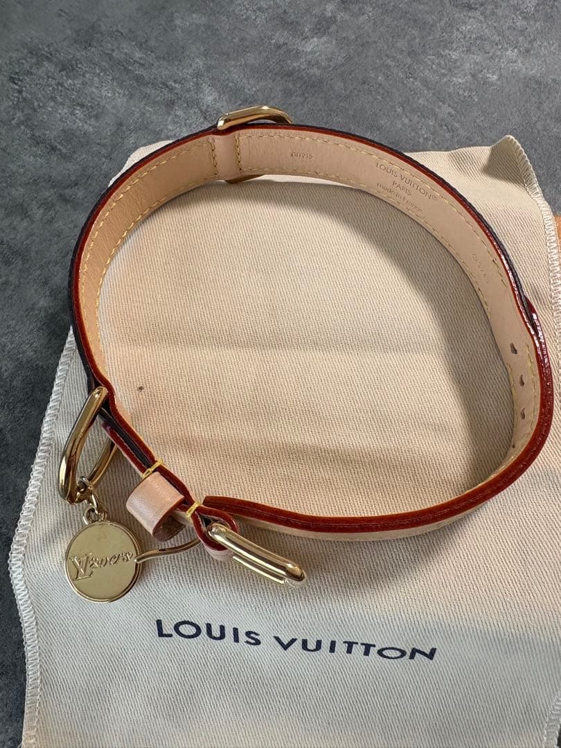 ✨新品試着のみ✨LOUIS VUITTON/首輪/定価73,700円/PMサイズ