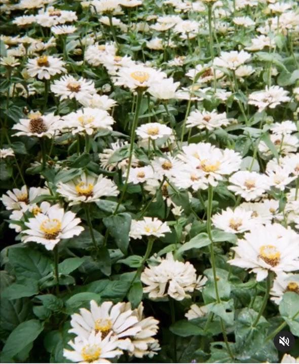 フィルムカメラ reto 3D