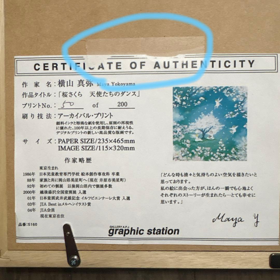 横山真弥　桜さくら天使たちのダンス