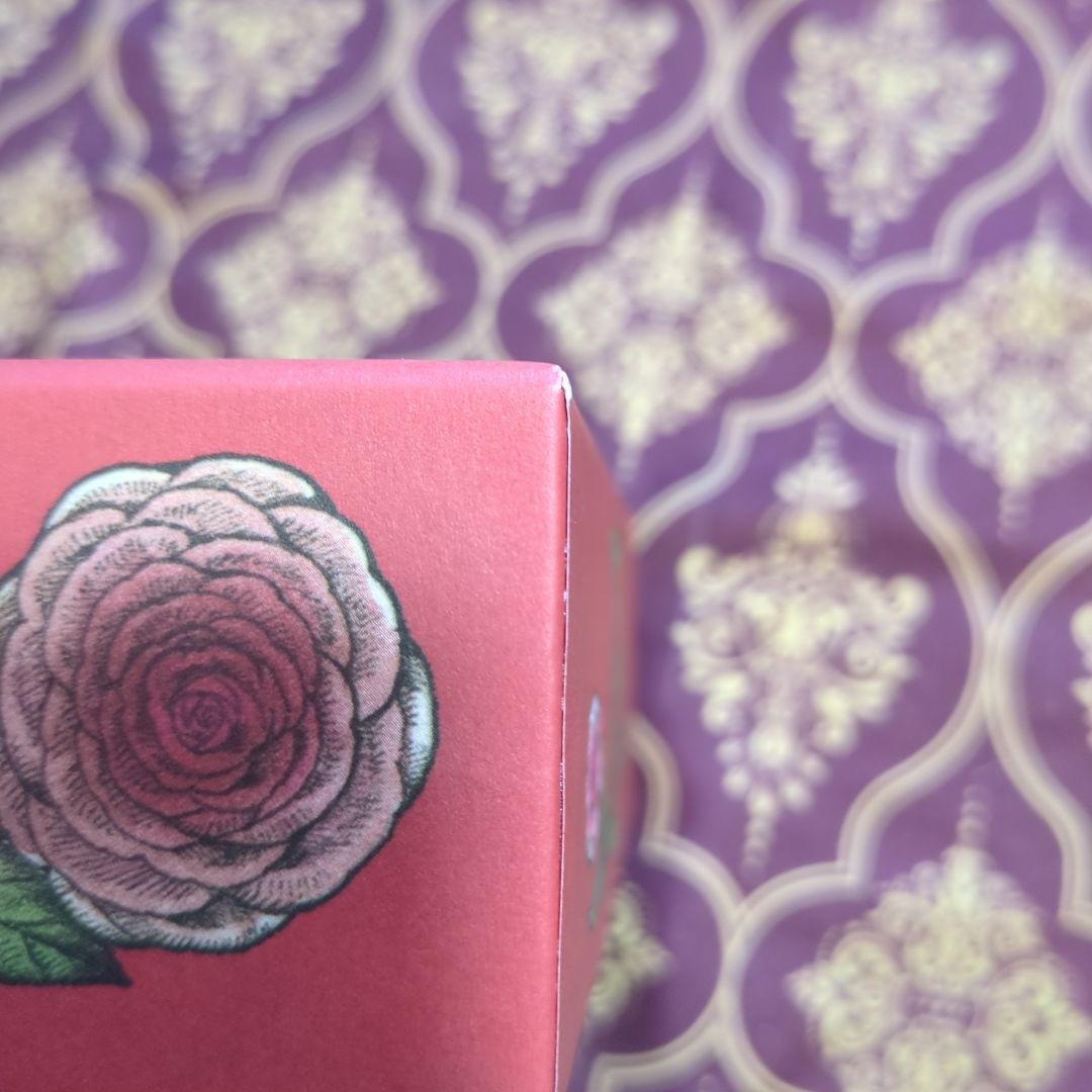 おまけ付　ヒグチユウコ　　BOX　ボリス雑貨店　BOX小さな画集4個