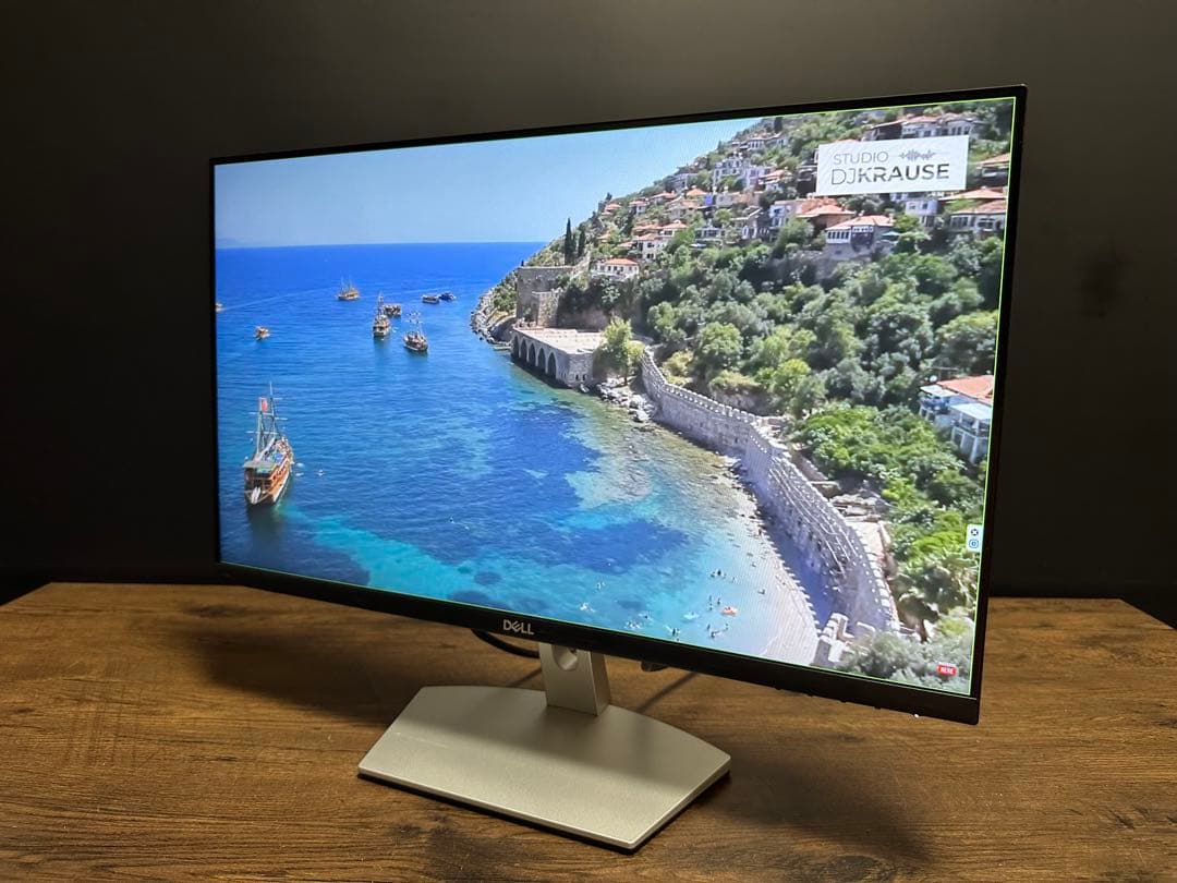 2024年製　DELL S2421HN 24インチモニター