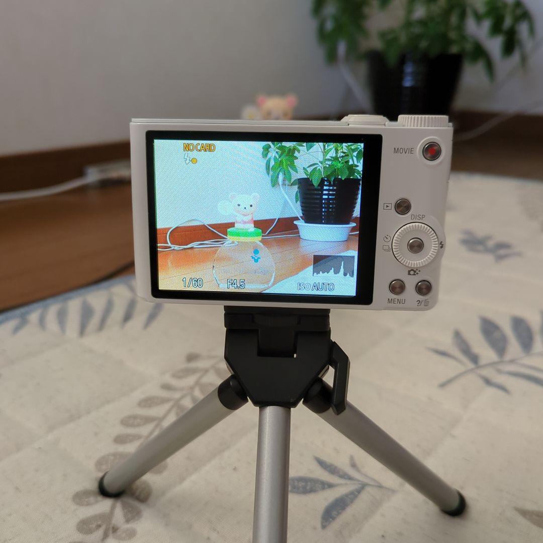 SONY Cyber−shot DSC−WX350＋ケース