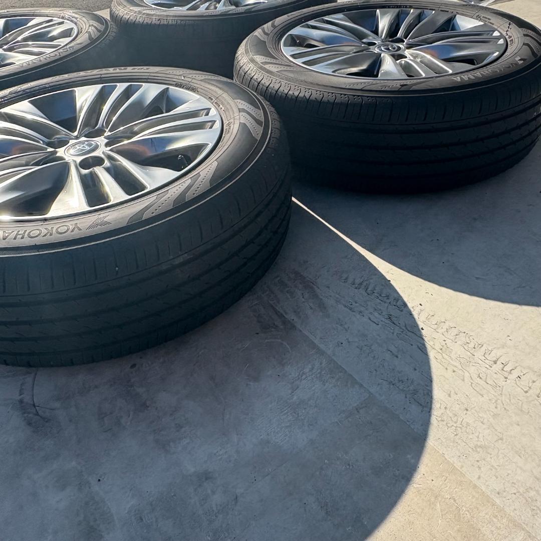 山田　バリバリ