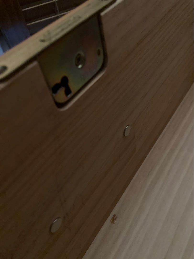 モモナチュラル、定番ブックシェルフ　（送料込み❣️）