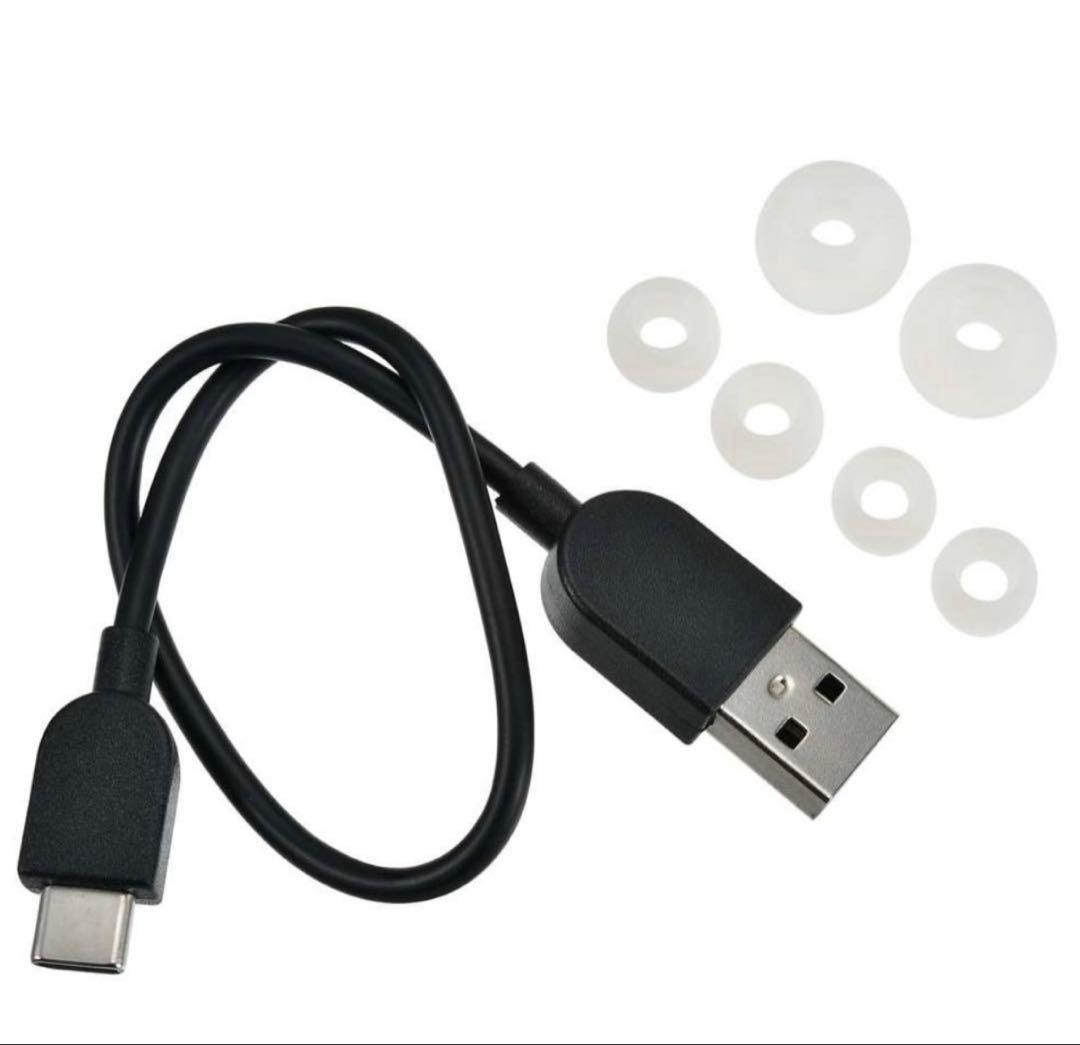 Victor ベイマックス 完全ワイヤレスイヤホン Enjoy Music