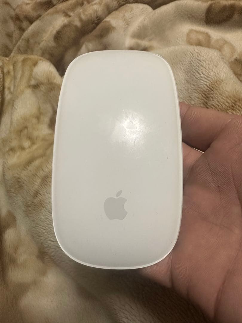 MacBook Pro (256GB, i5, 8GB) 本体、充電器、マウス