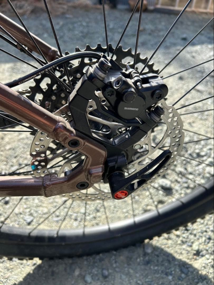 SANTACRUZ サンタクルズ　カメレオン　29er ブラウン　Mサイズ