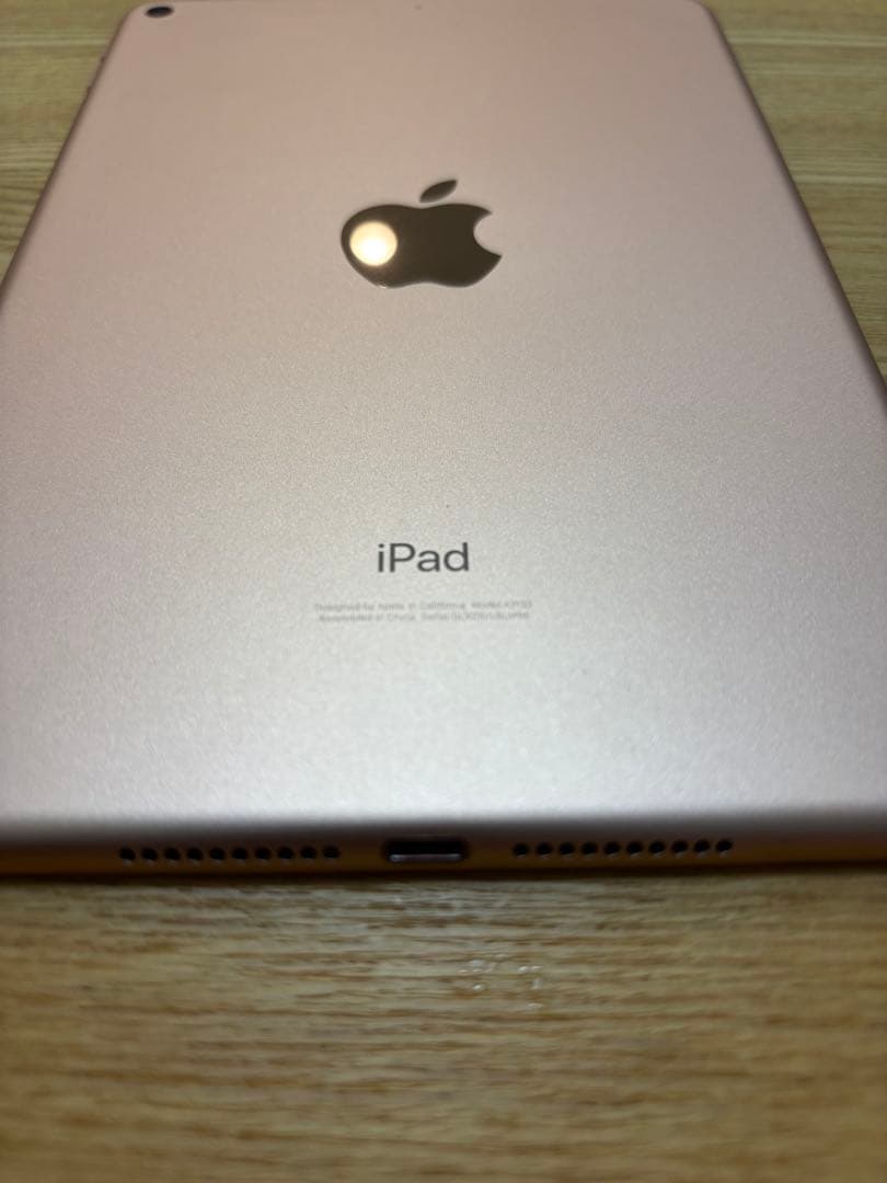 【美品】Apple iPad mini 第5世代 本体 Pencil・カバー付