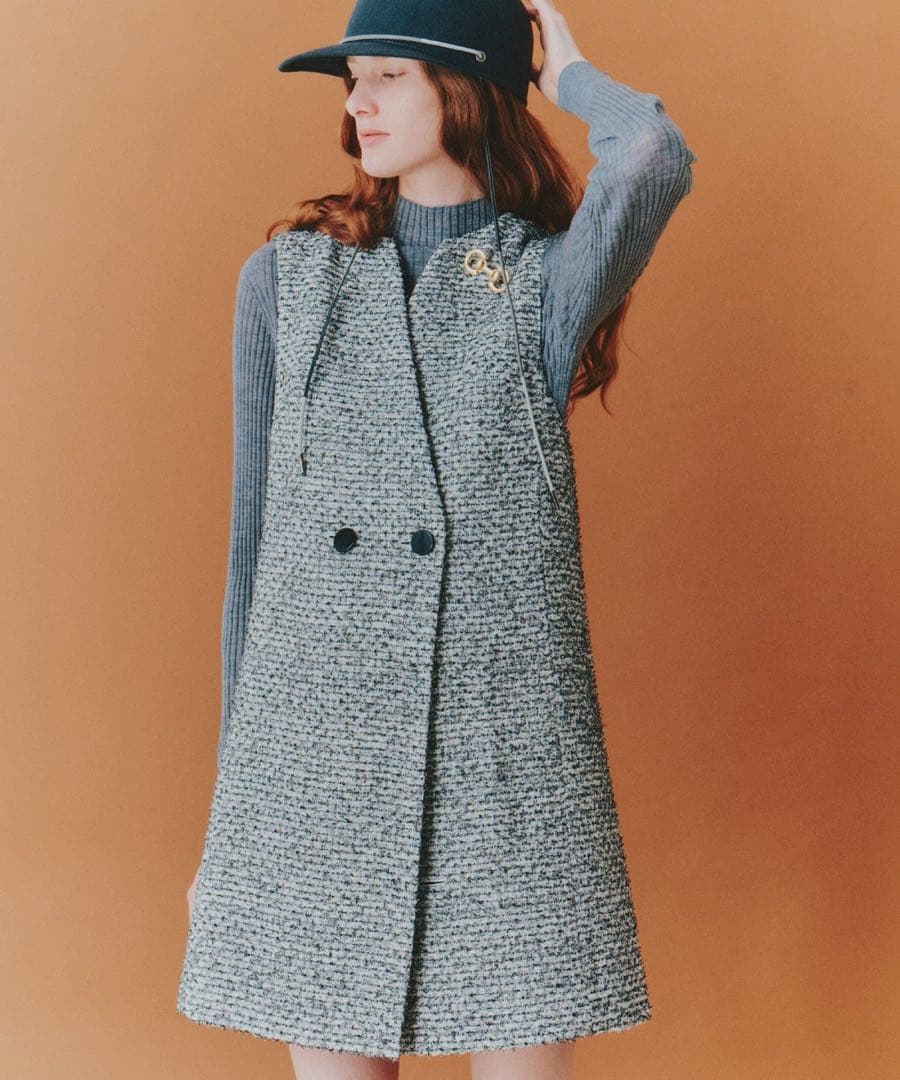 【新品未使用】ANAYI ホースビットビジューブローチ　完売　アナイ