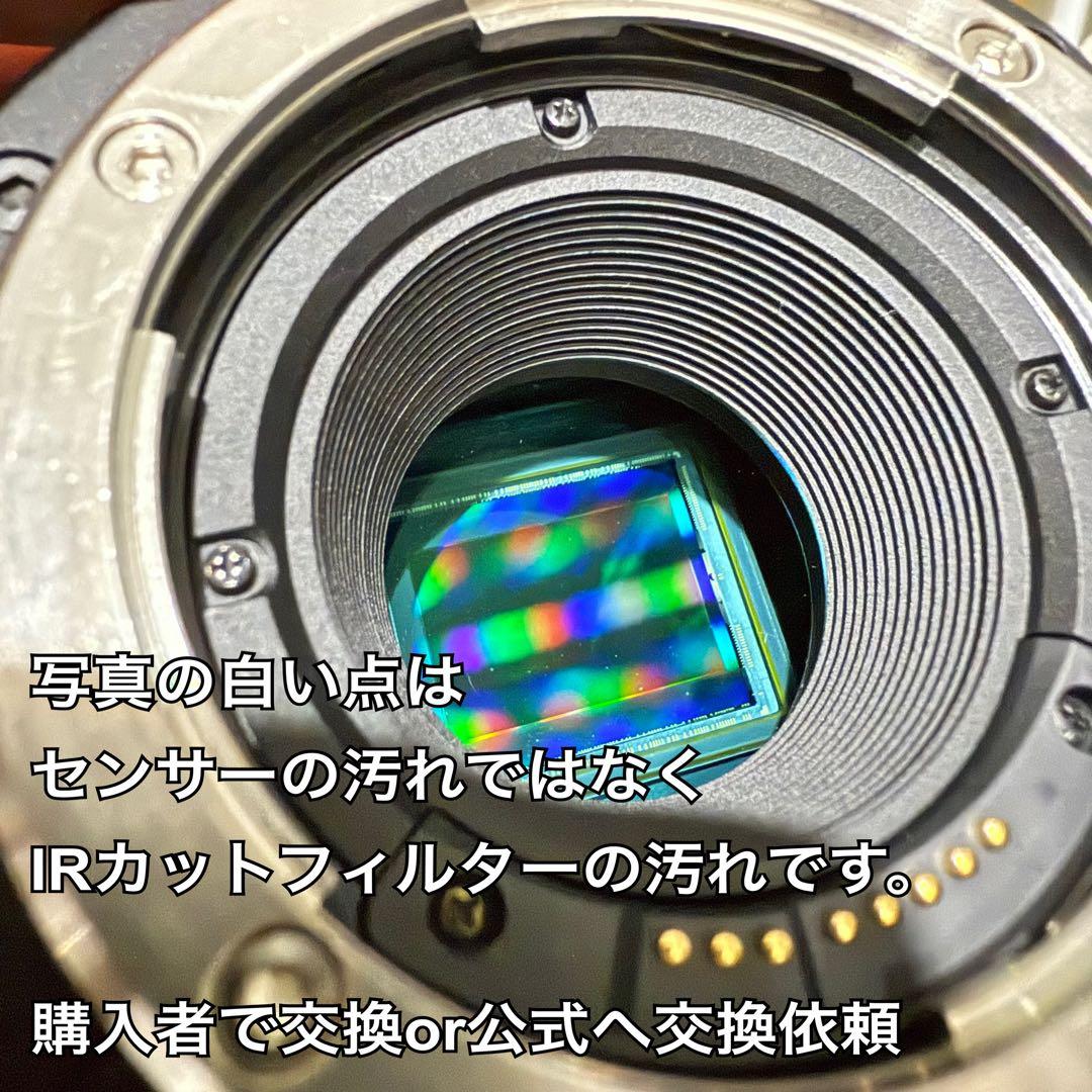 【値下げ可】 BMPCC6K ポケシネ6K ブラマジ6K 映像制作 動画制作