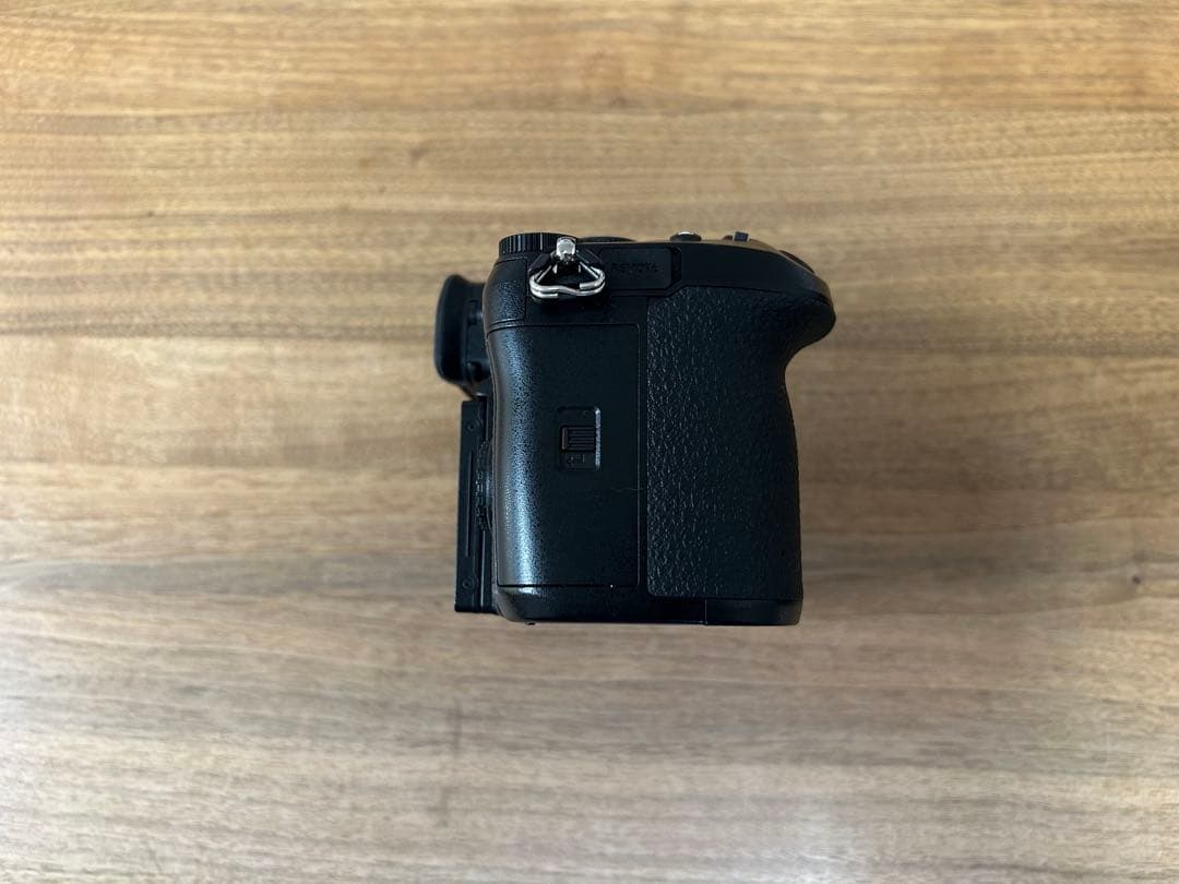 LUMIX GH6 ミラーレスカメラ 本体 (予備バッテリー1個付き)