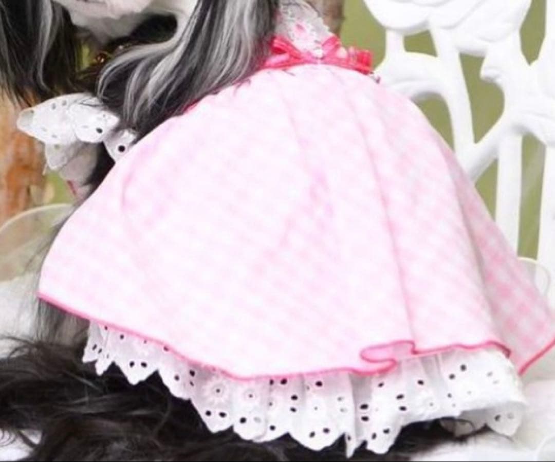 luxebirdie リュクスバーディ ビッシーワンピース バレッタ セット犬服