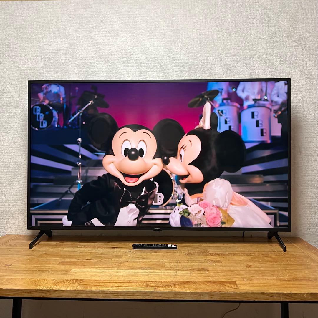 SHARP 65V型 4K 液晶テレビ AQUOS 4T-C65FL1 24年製