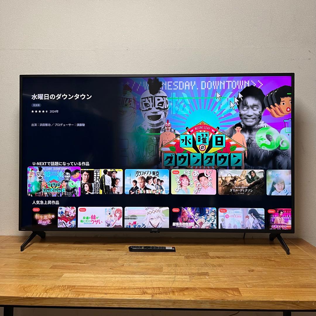SHARP 65V型 4K 液晶テレビ AQUOS 4T-C65FL1 24年製