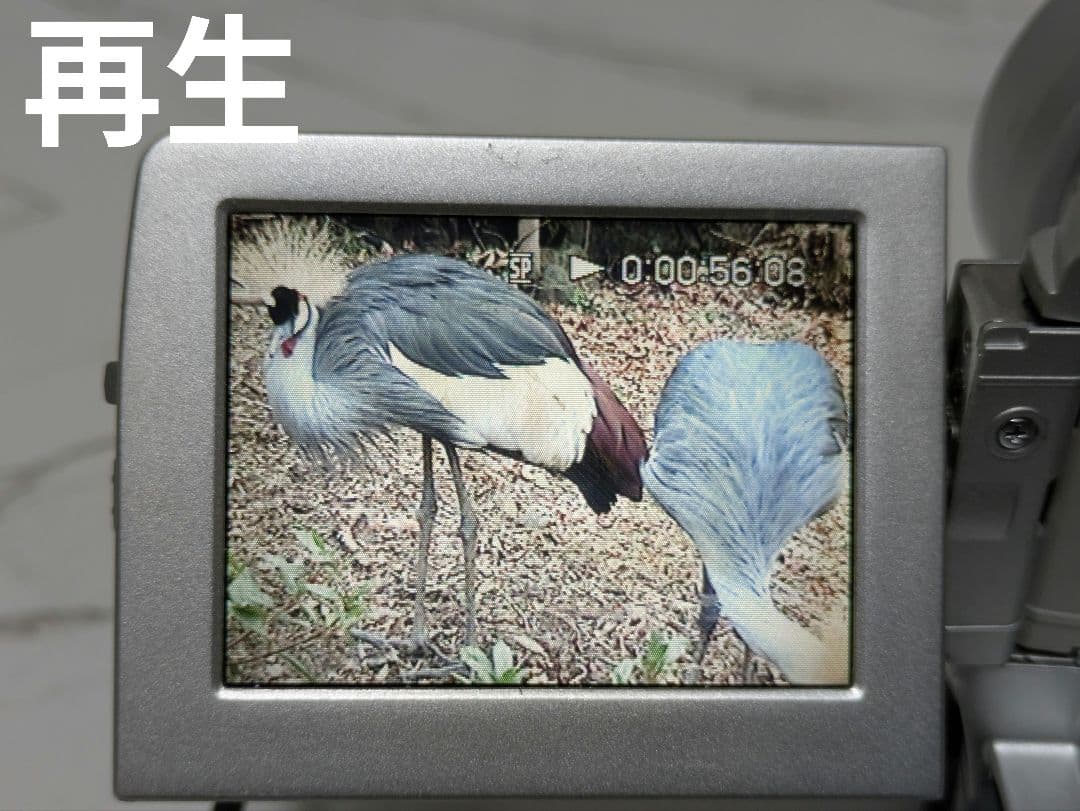 SONY　DCR-PC110　MiniDV対応