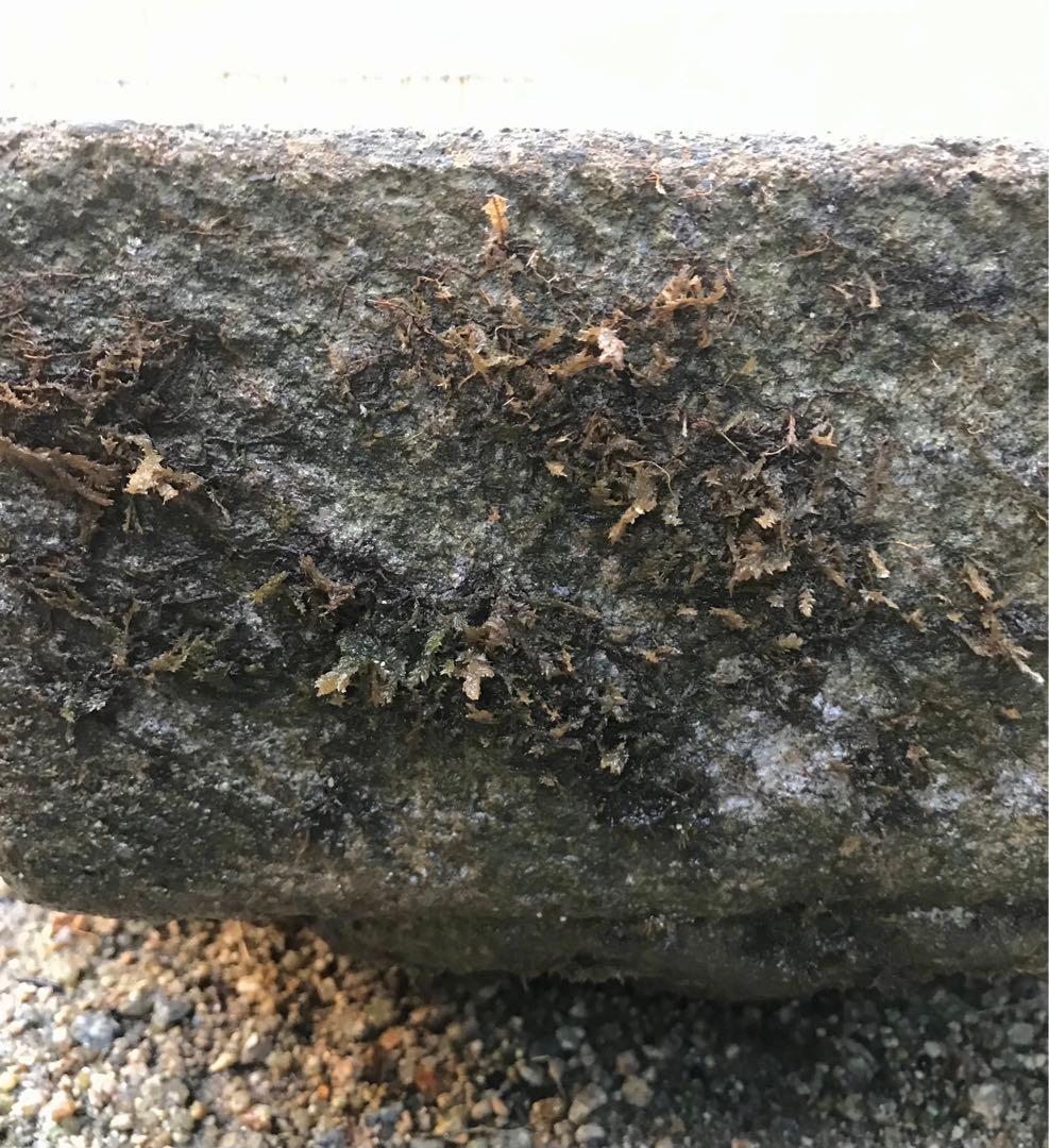 【六角水鉢・蹲・茶庭】庭石・オブジェ・置物・ガーデニング・バードバス