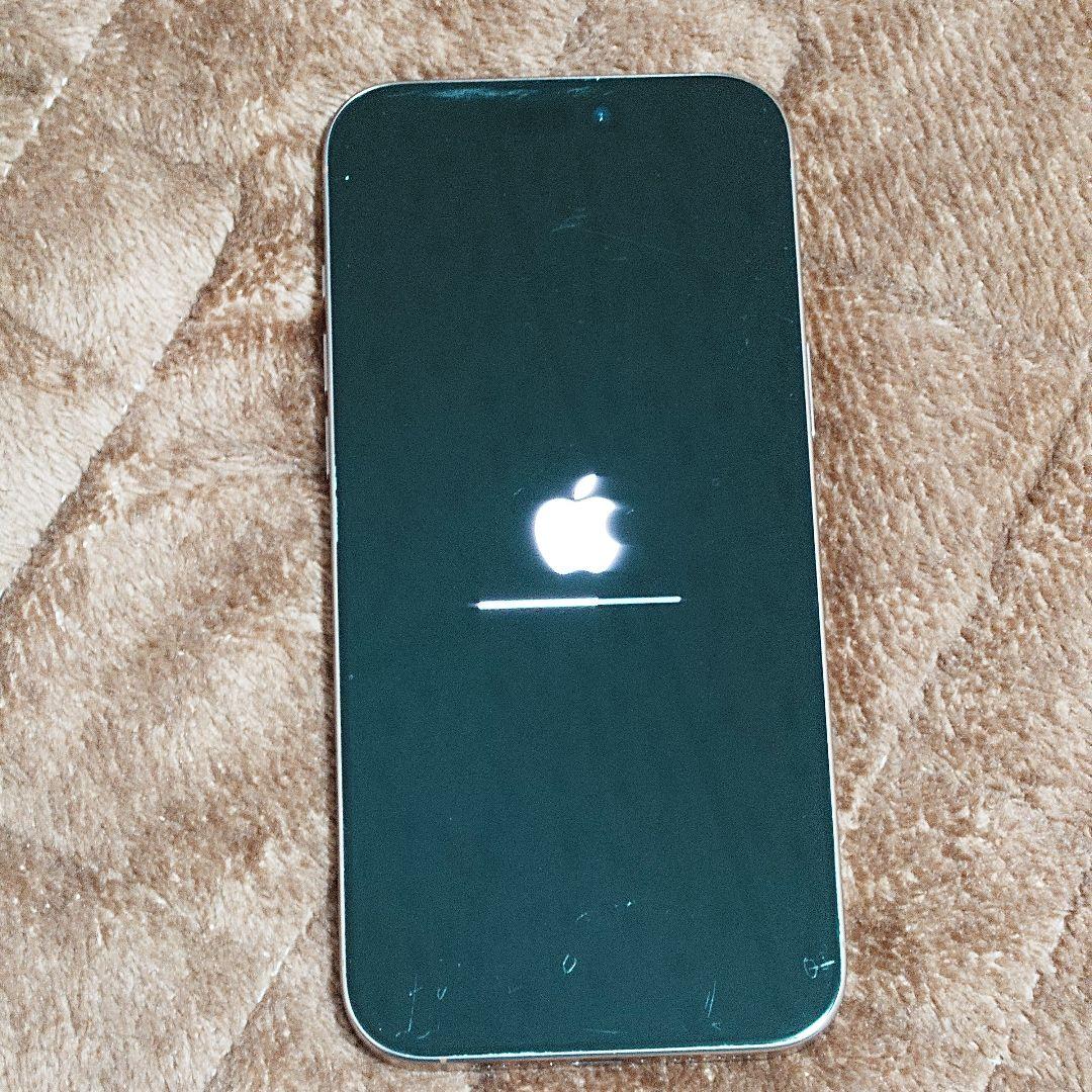 Apple iPhone 16 Pro Max デザートチタニウム 256GB