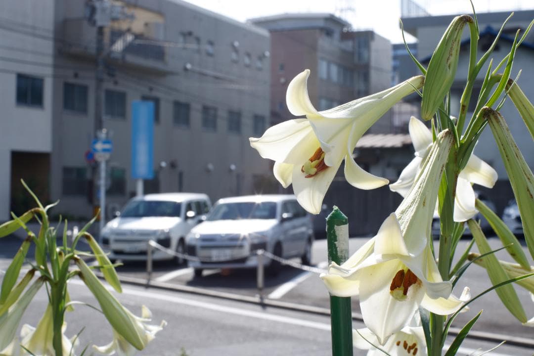 FD55mm F1.2 S.S.C. アスフェリカル