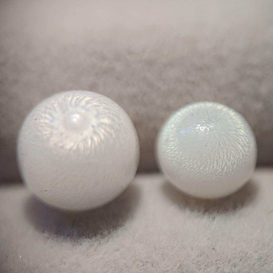 天然クラムパール／トリダクナパール（約1.9ct）