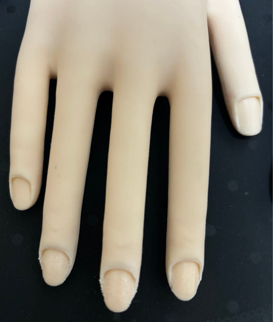 ネイル教材　検定セット　1級　2級　3級　ネイリスト技能検定　資格　モデルハンド