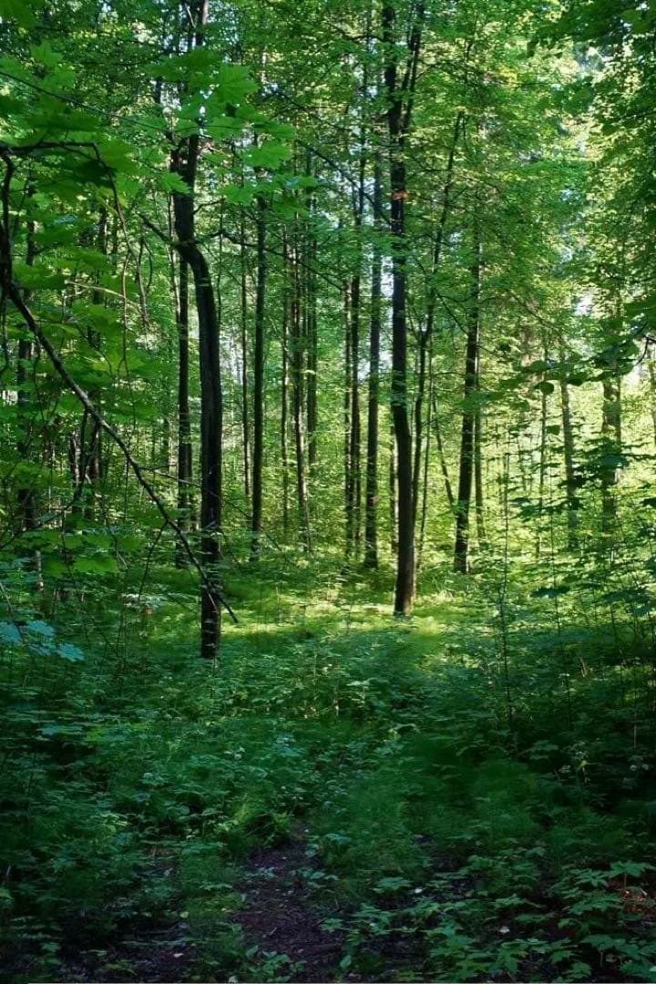 超希少 LOMO OKC1-22-1 22mm f2.8 ライカLマウント 1