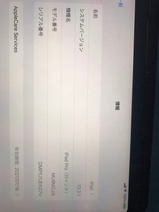 iPad pro11インチ WiFi + cellular