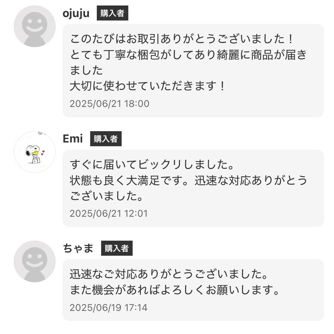 Panasonic LUMIX DMC-FX35デジカメ 黒 ケース 充電器付き