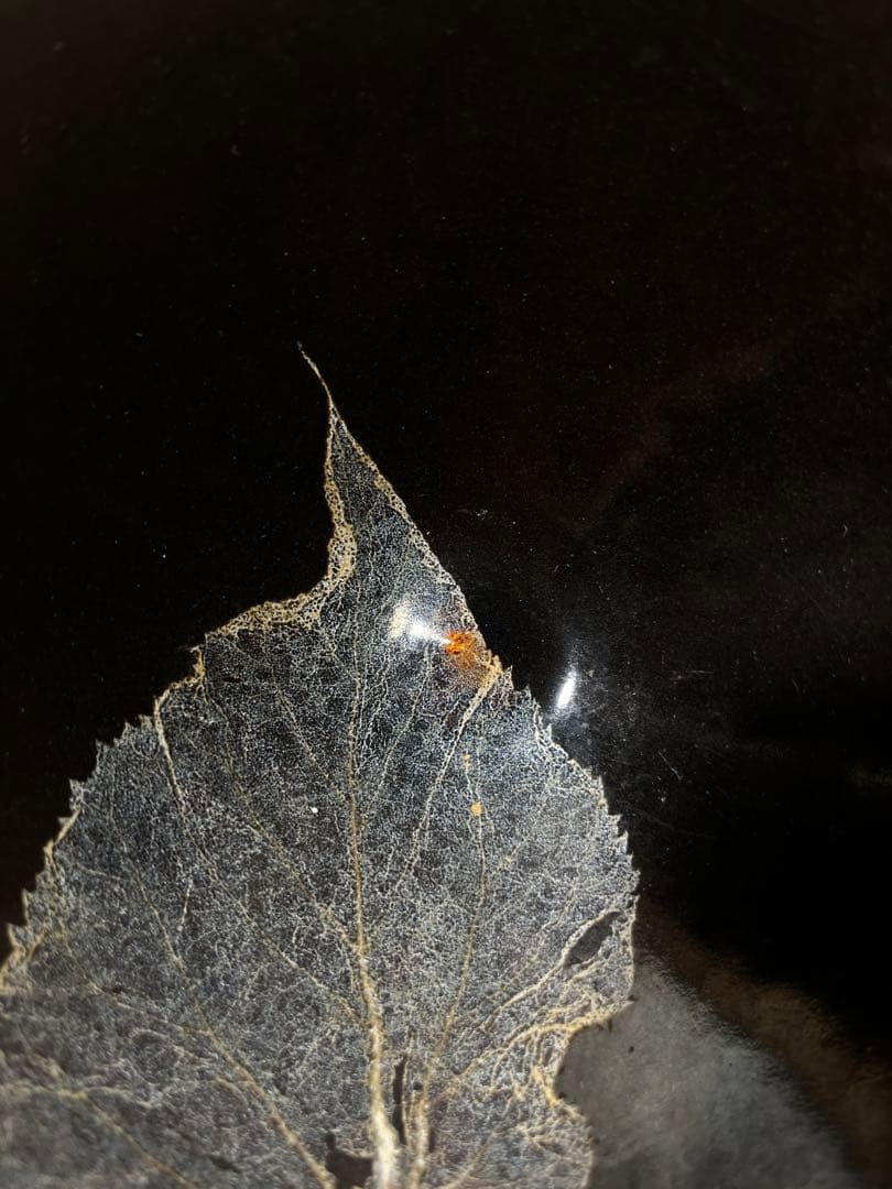 宋　吉州窯　木葉天目茶碗　中国　骨董品