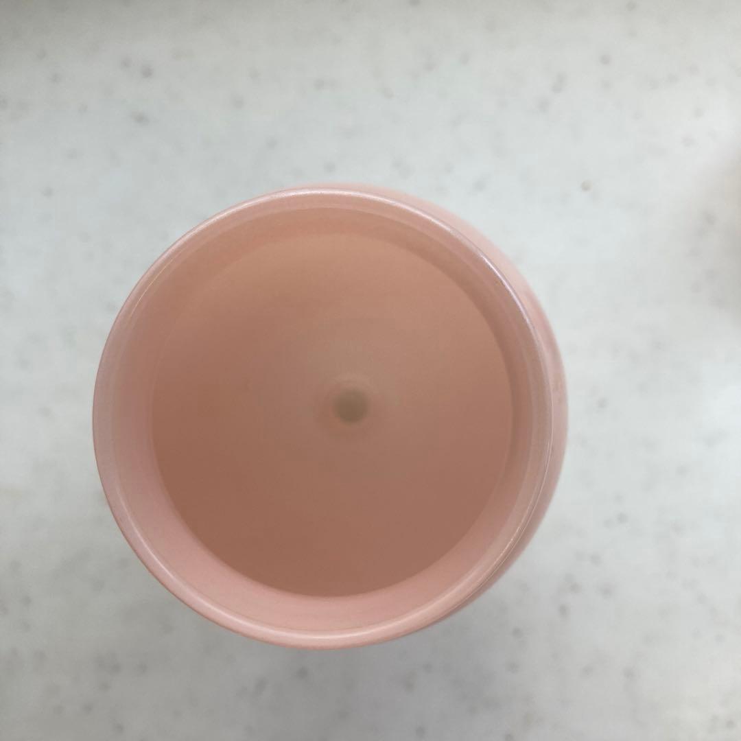 アンカーホッキング社のレインボーシリーズのウォーターボトルとフャイヤーキングの本