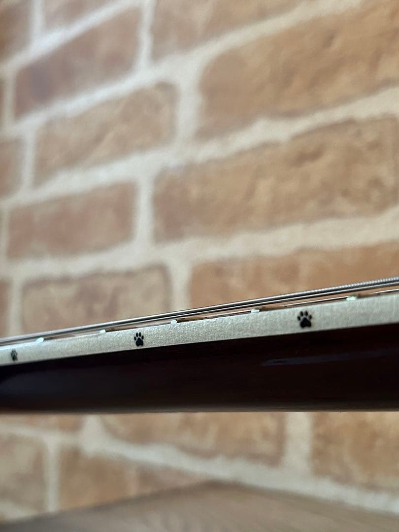 タカミネTD-27(豆しばバージョン)