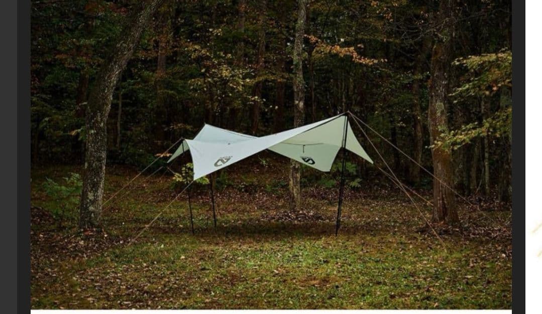 NEMO Equipment ニーモ シャドウキャスター165 エレメント