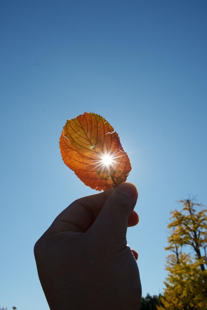 白いスナイパー！SIRUI Suniper 23mm F1.2 ASP-C AF