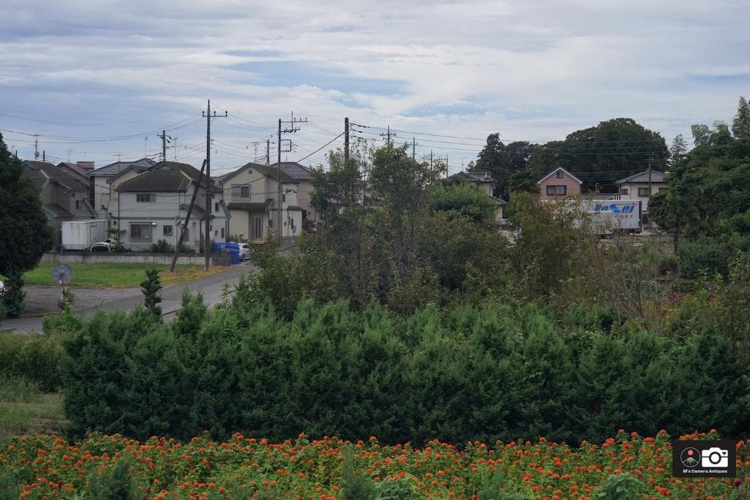 Canon 50mm F/1.8 I ライカＬ３９レンズ, フィルター付整備済