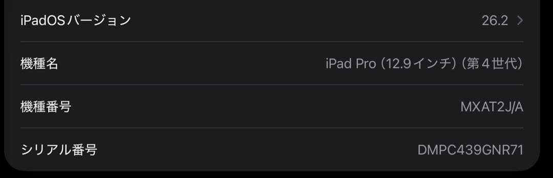 iPad Pro Wi-Fi 256GB Apple Pencil第2世代