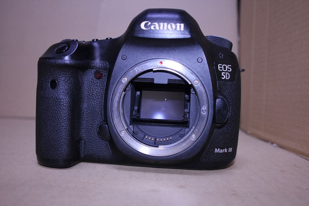 Canon EOS 5D mark III標準&望遠ダブルレンズセット