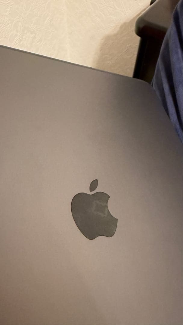 iPad Pro 12.9 スペースグレー