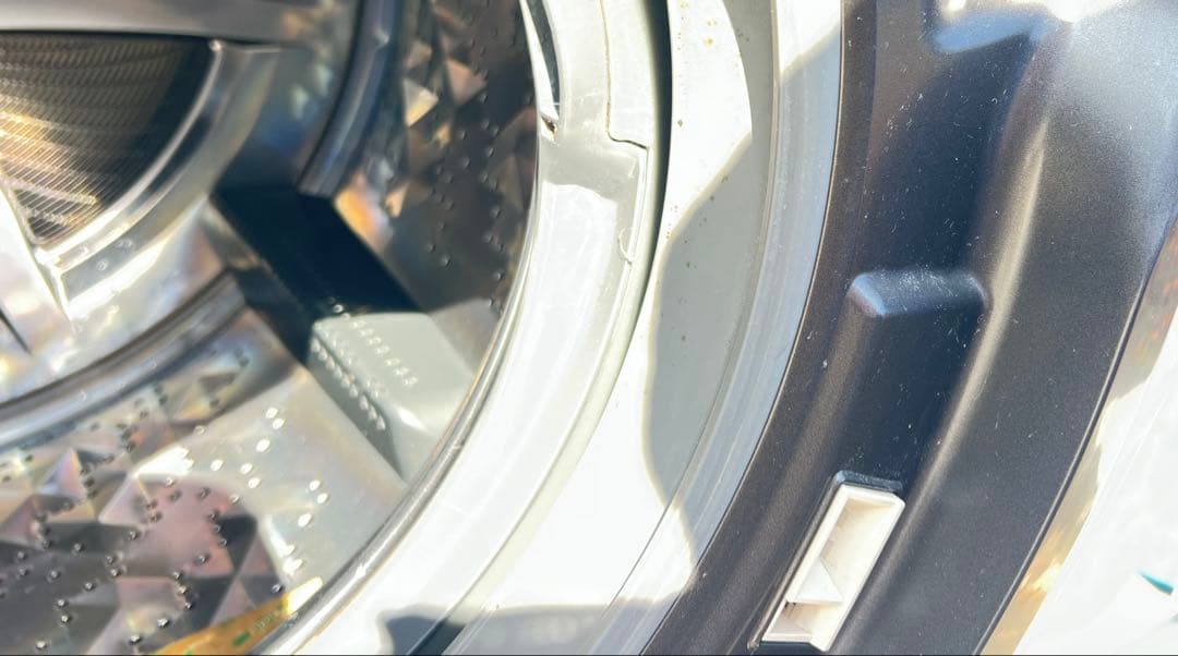 Panasonic ドラム式洗濯機 本体NA-VX9600L 2016年