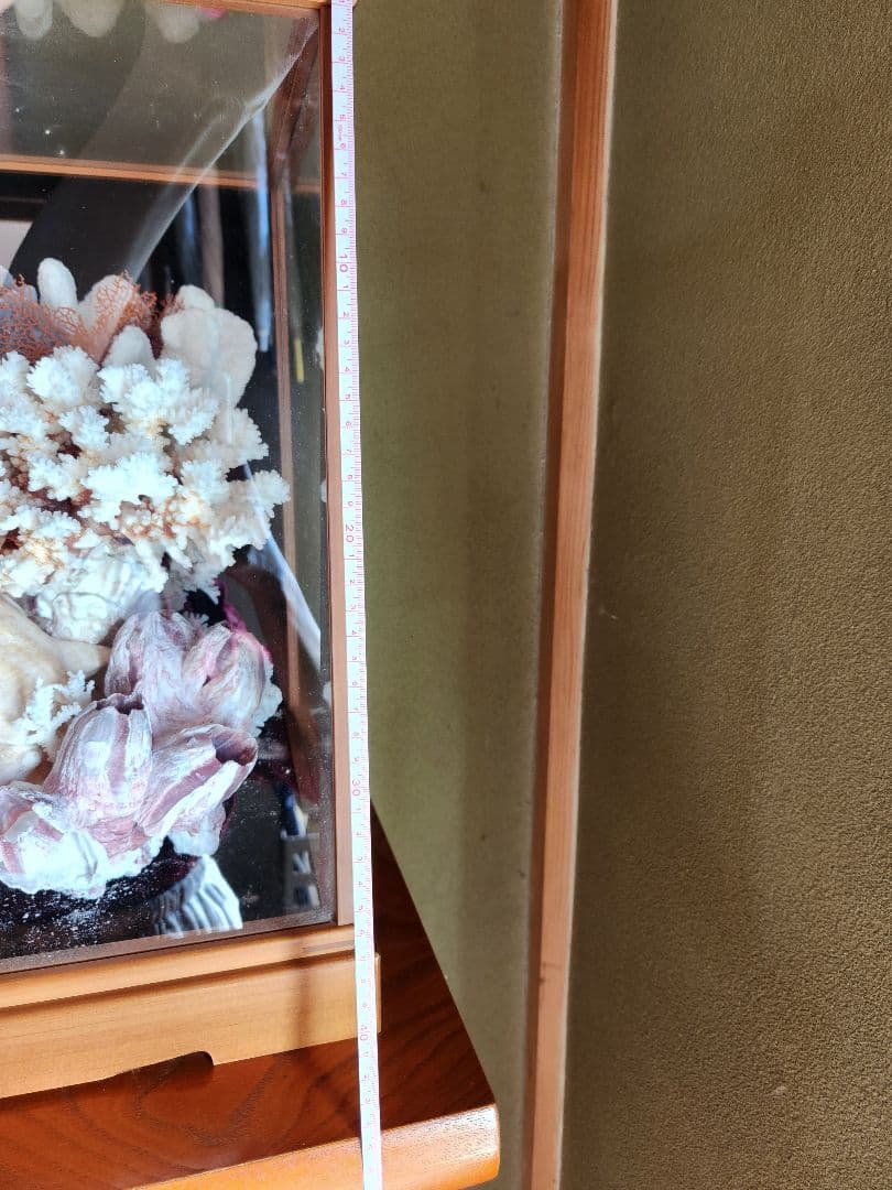 貝と珊瑚のオブジェ