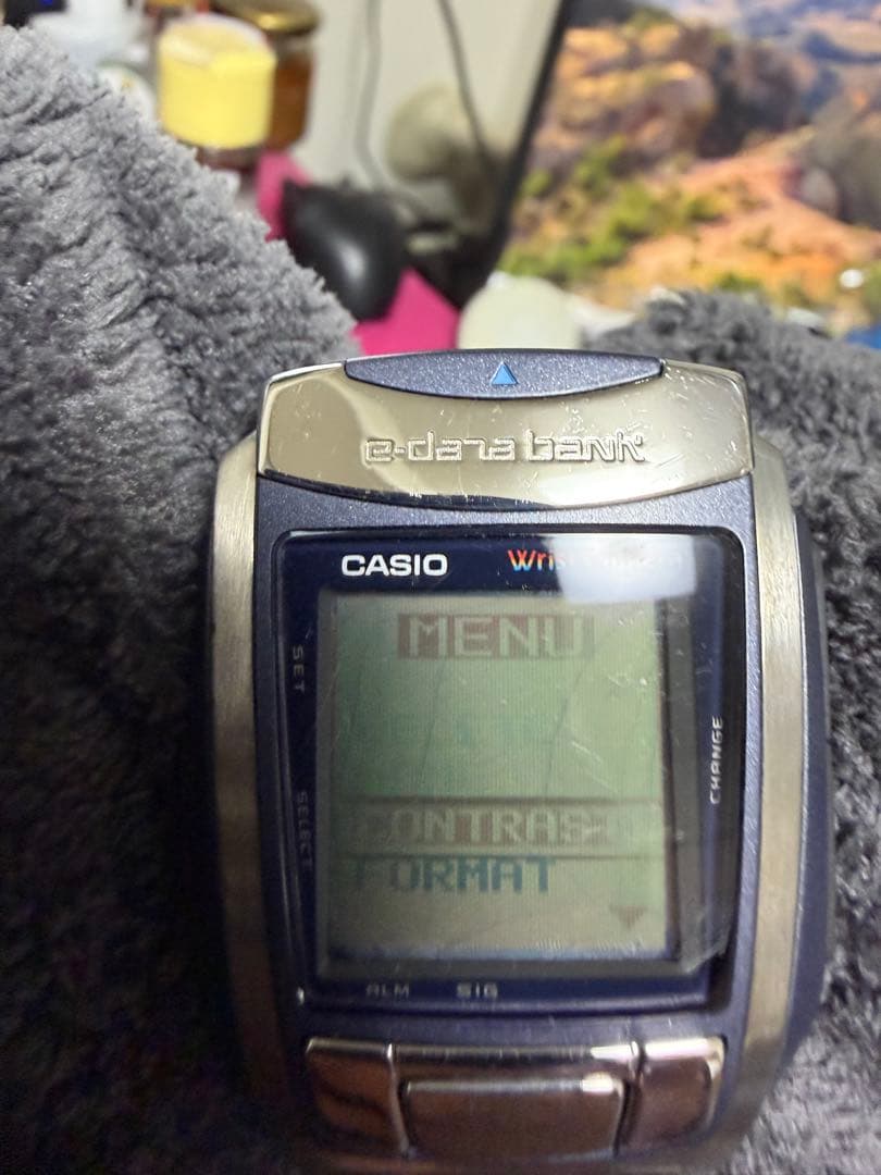 CASIO WRIST CAMERA WQV-1リストカメラ