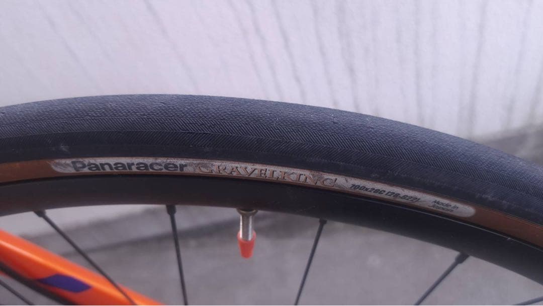 自転車本体 salsa colossal