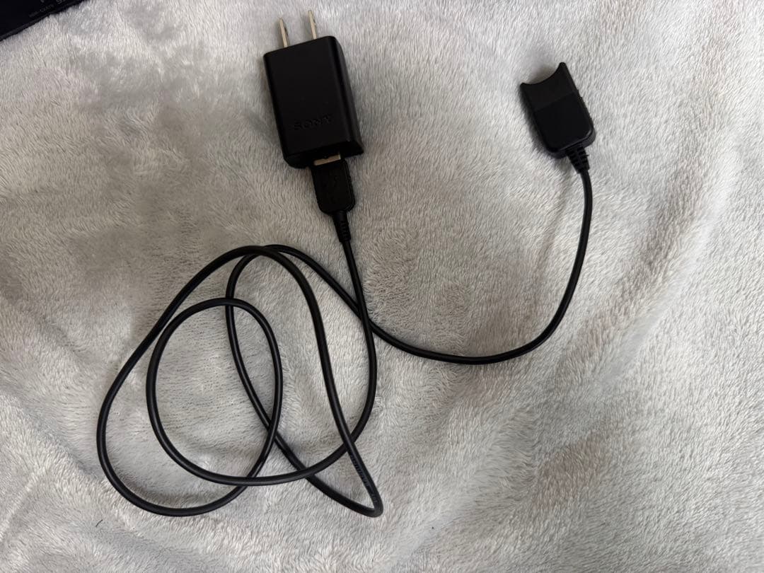 ビデオカメラ SONY HDR-CX670