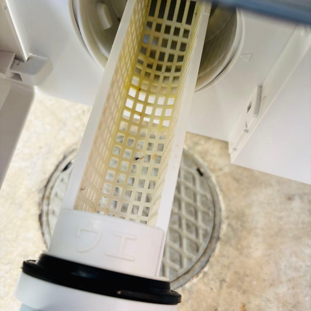 SHARP 11/6kgドラム式洗濯乾燥機 ES-W112-SL 2019年製