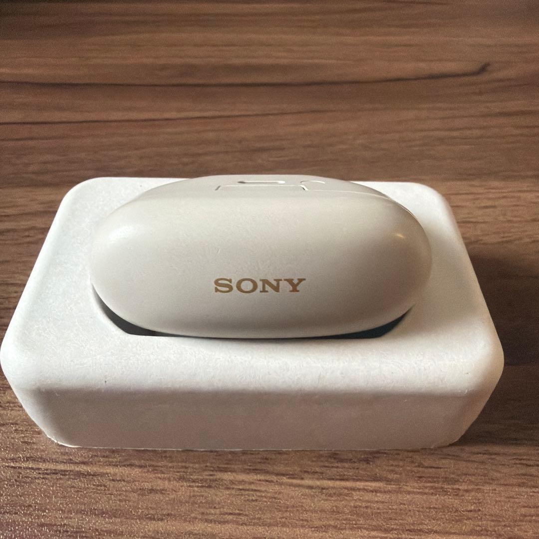 （SONY） WF-1000XM5